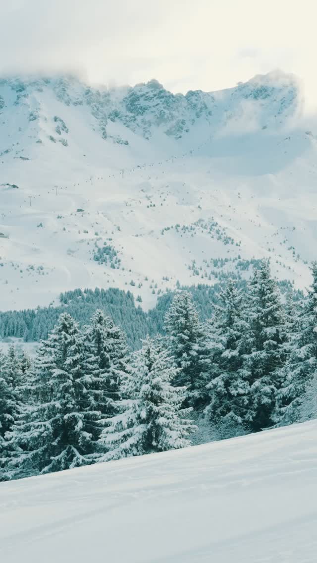 Alors que le jour se lève sur @meribel3vallees pour une 3ème journée de compétition, découvrez les images de la journée d’hier ✨ 

Une météo magnifique pour tous nos skieurs pour l’épreuve slalom géant sous le soleil, sur une neige qui leur a demandé toute leur concentration. 

🎥 @ambroise.abondance 

@edfsport @societegenerale @agence_du_sport @sports.gouv @region_auvergnerhonealpes @savoieledepartement @parasnowsports @fedfranceski @tignesofficiel